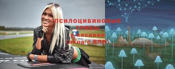 jwh Горняк