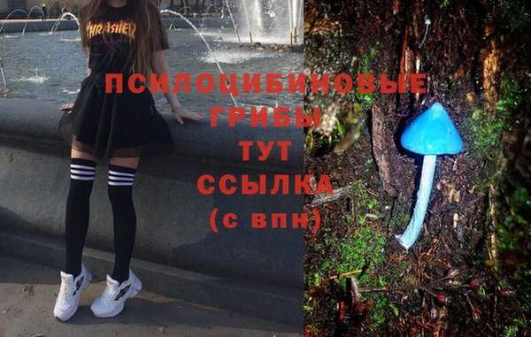 jwh Горняк