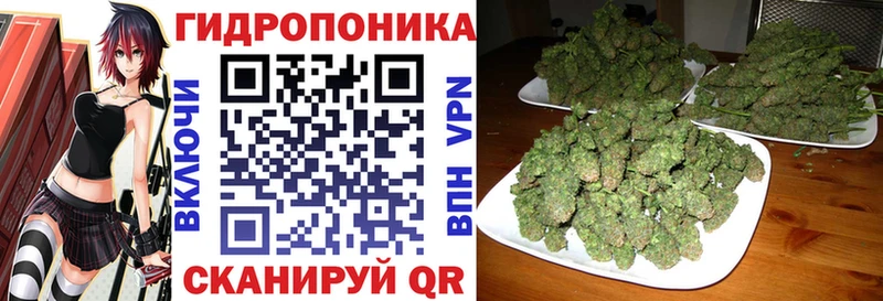 Купить закладки  Балашиха  Шишки марихуана THC 21% 